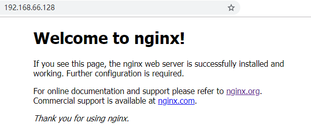 Nginx minimalist introductory tutorial!